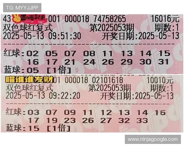 彩票计划的风险控制与资金管理技巧详解